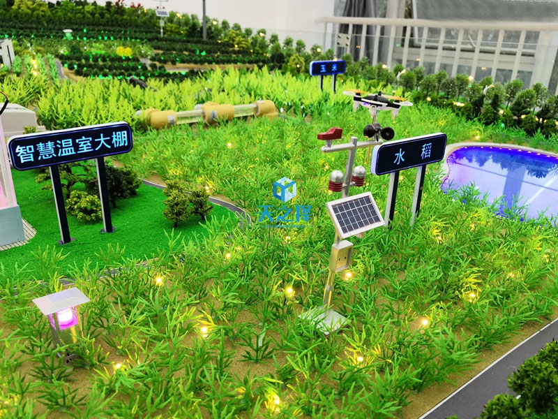 �r�I(y��)ģ�����r�I(y��)�Nֲɳ�P(p��n)ģ��